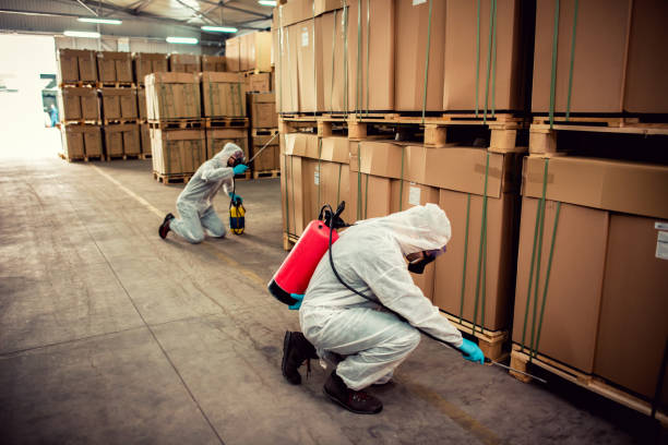 Professional Pest Control in Northwood, IA