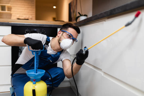 Best Local Pest Control Services  in Northwood, IA