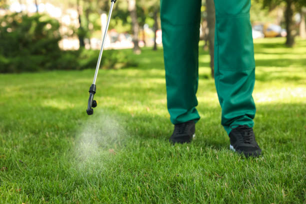 Best Pest Inspection Near Me  in Northwood, IA