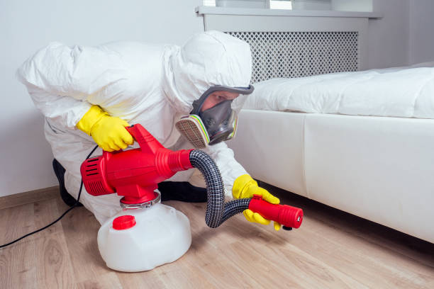 Best Bed Bug Extermination  in Northwood, IA