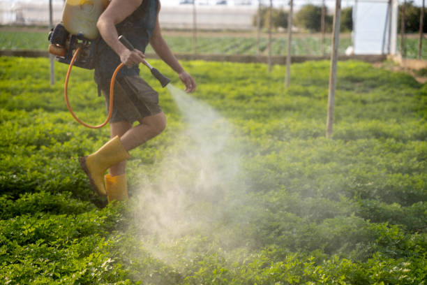 Best Best Pest Control Companies  in Northwood, IA