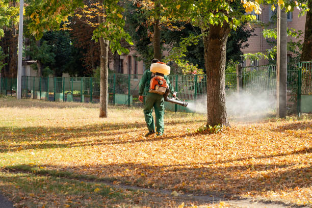 Best Pest Control for Homes  in Northwood, IA