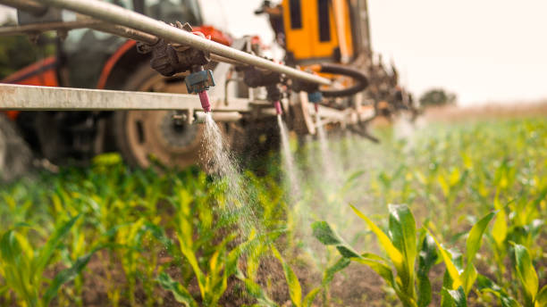 Best Wildlife Control Services  in Northwood, IA